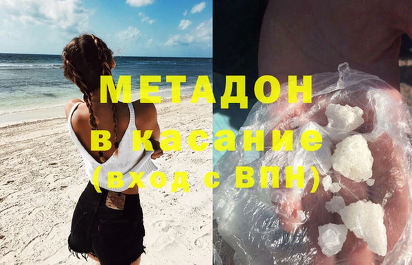 прущие грибы Аркадак
