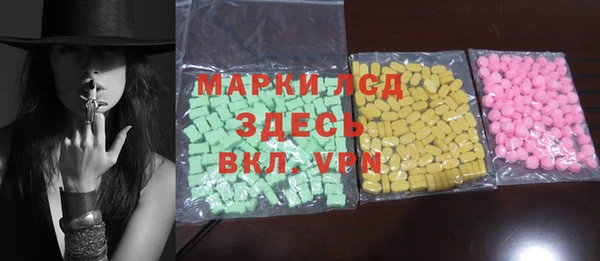 прущие грибы Аркадак