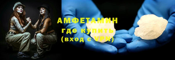 прущие грибы Аркадак
