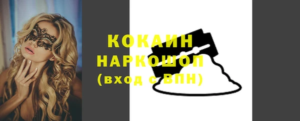 прущие грибы Аркадак