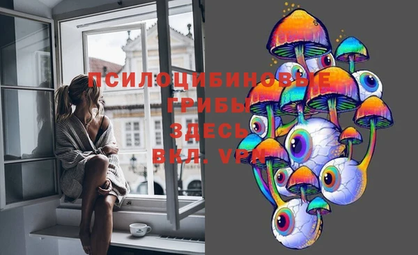 бутират Арсеньев