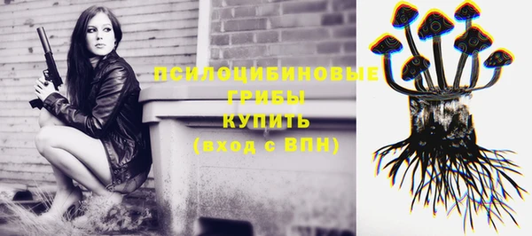 гидра Козельск